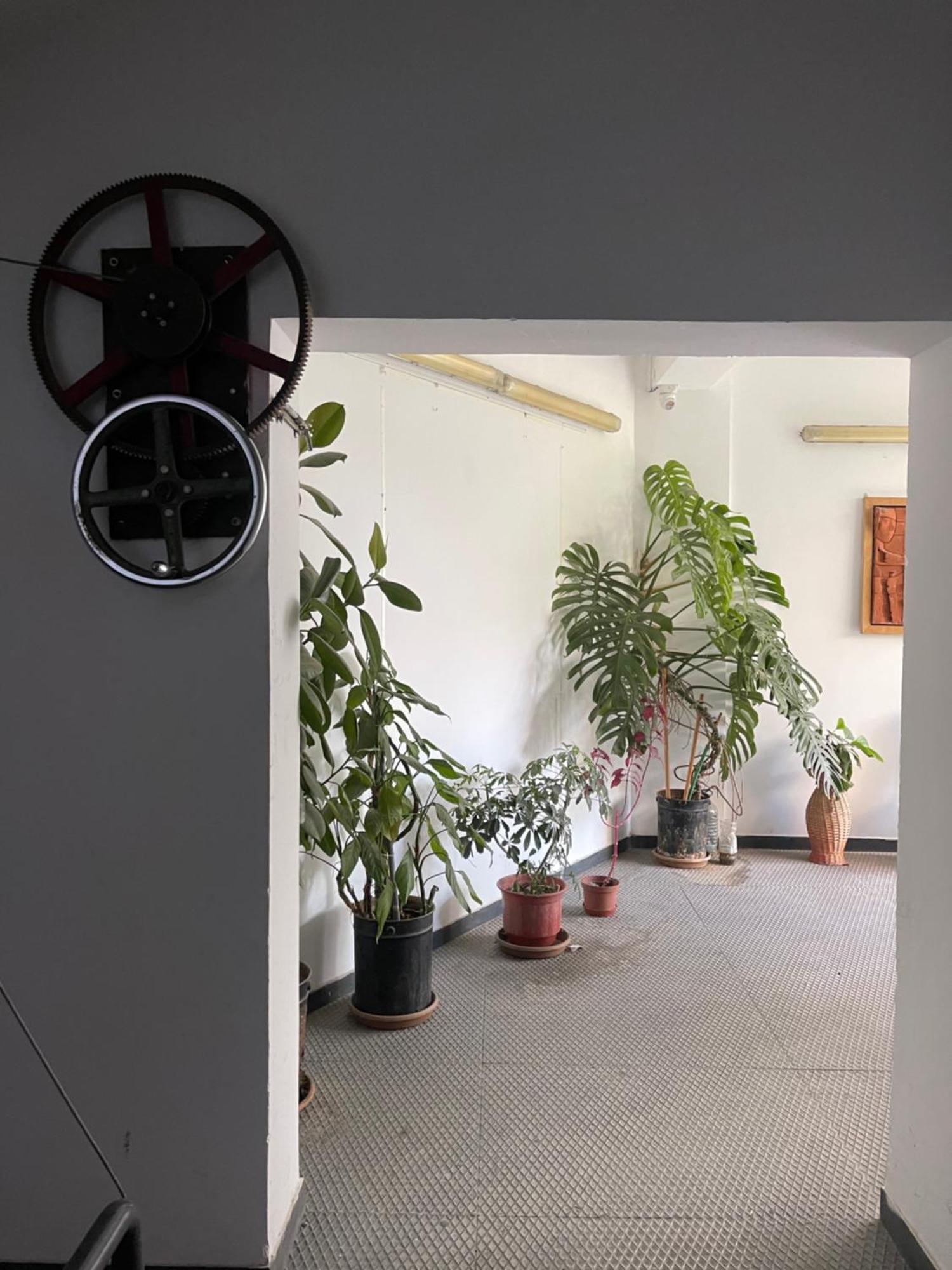 Flex Apartment Τίρανα Εξωτερικό φωτογραφία